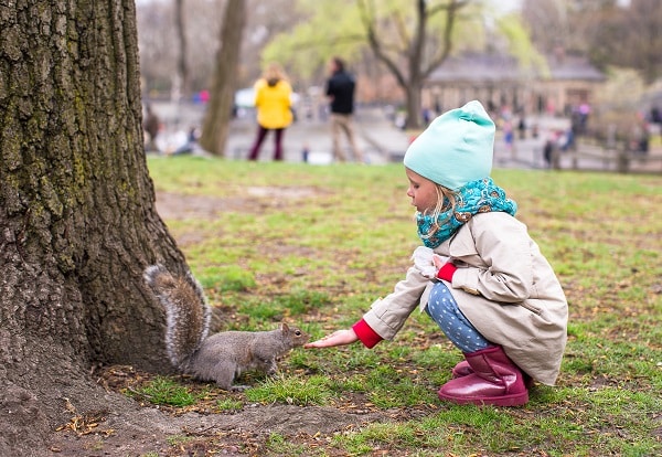 Feeding Squirrels