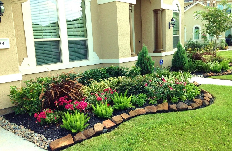Caring for Your Landscaping Plants