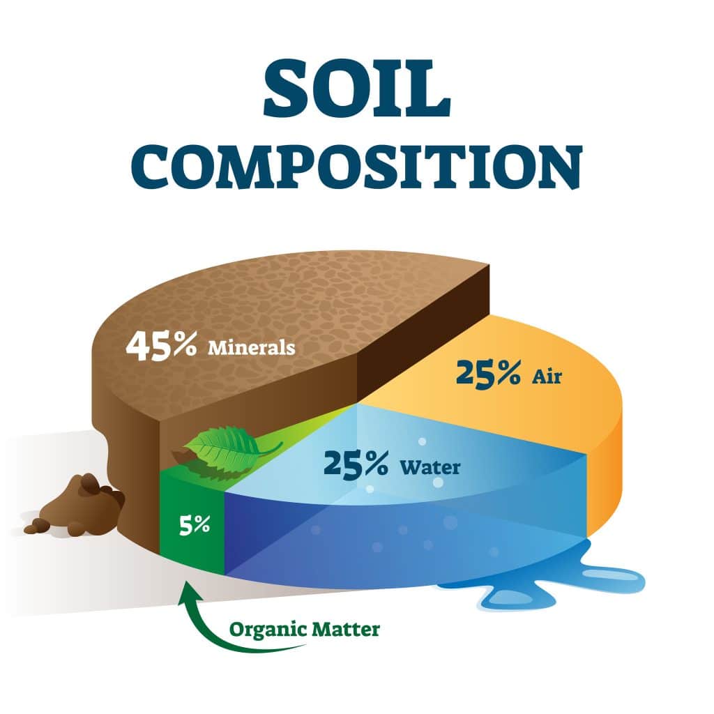 Soil Types For Water-Loving Plants