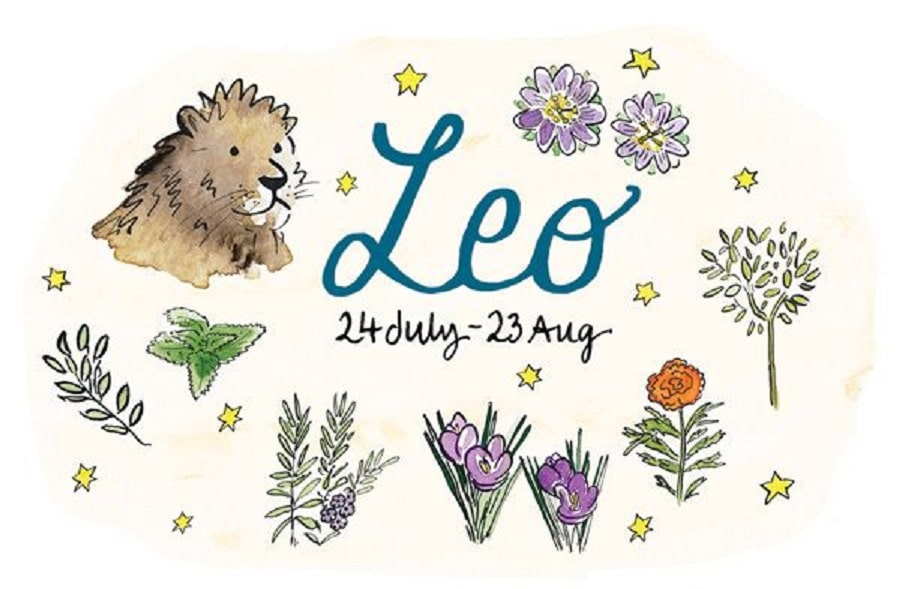 Leo Zodiac Flowers: Regal and Vibrant