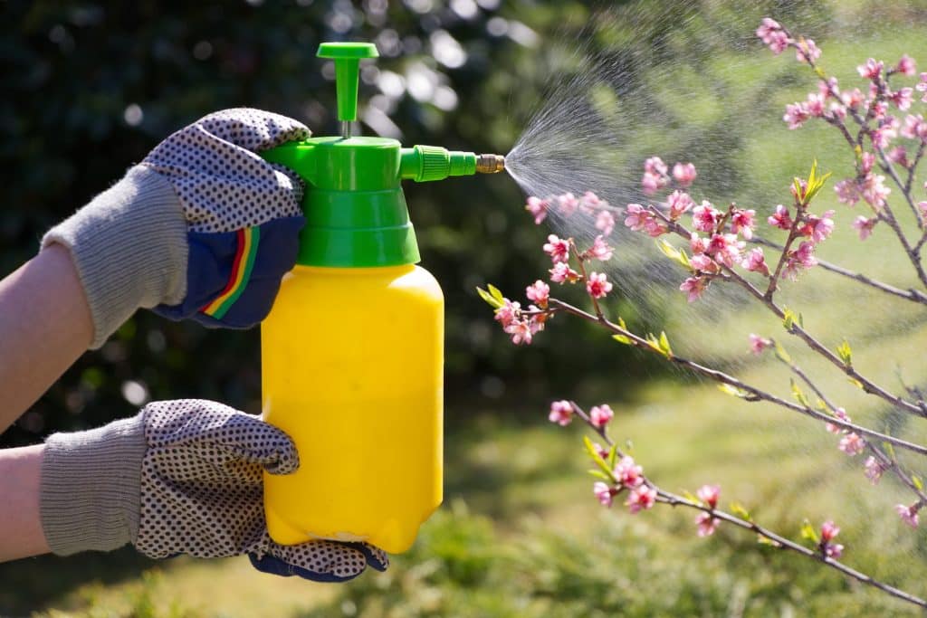 Scary Reasons Your Garden Could Be Making You Sick