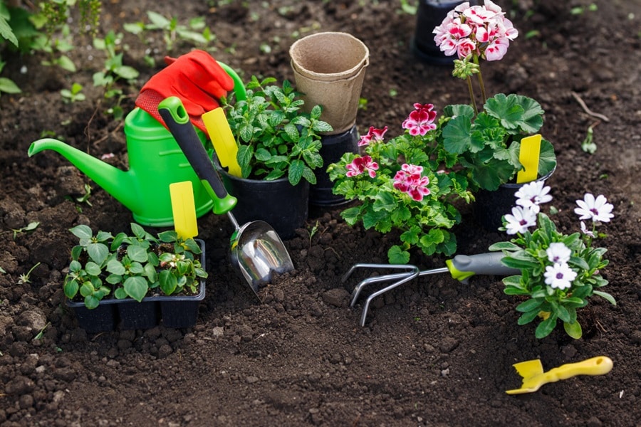 8 Gardening Tasks To Prepare For Early Spring Planting
