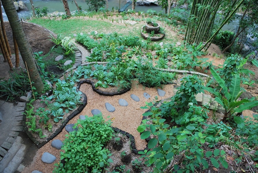 Why Permaculture Is The Future Of Home Gardening