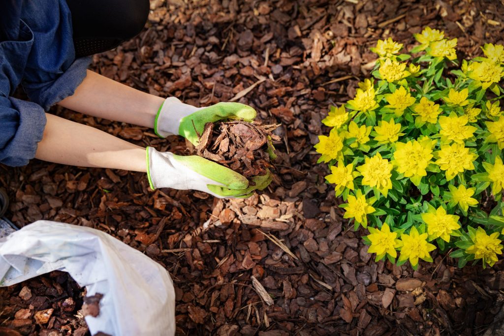 8 Gardening Tasks To Prepare For Early Spring Planting